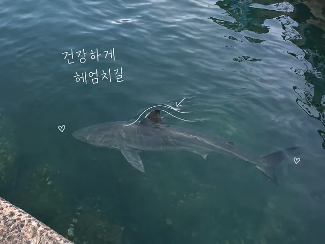잔물결 아래 회색 상어를 그린 AI 생성 일러스트와 흰 펜 자국, 잘 가렴 작은 친구라는 손글씨.