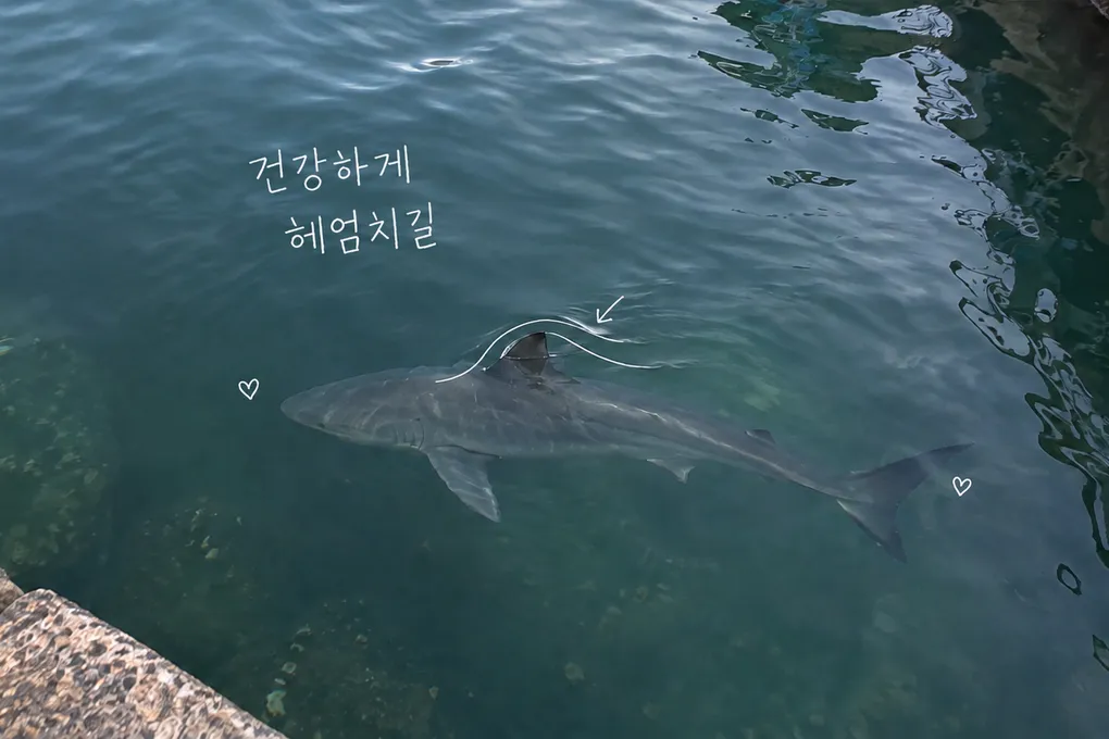 잔물결 아래 회색 상어를 그린 AI 생성 일러스트와 흰 펜 자국, 잘 가렴 작은 친구라는 손글씨.