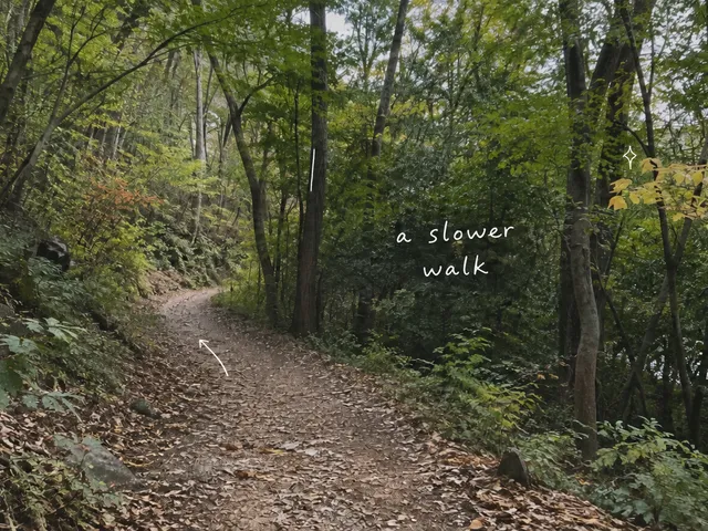 AI-generated woodland path with early autumn leaves, thin white pen marks and a handwritten note about taking a slow walk.
