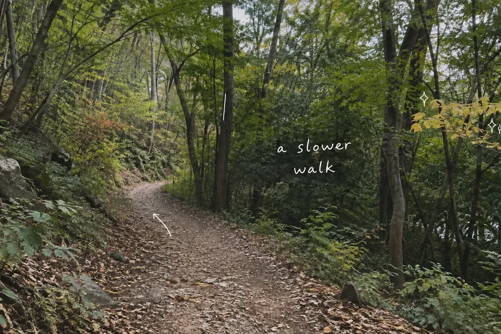AI-generated woodland path with early autumn leaves, thin white pen marks and a handwritten note about taking a slow walk.