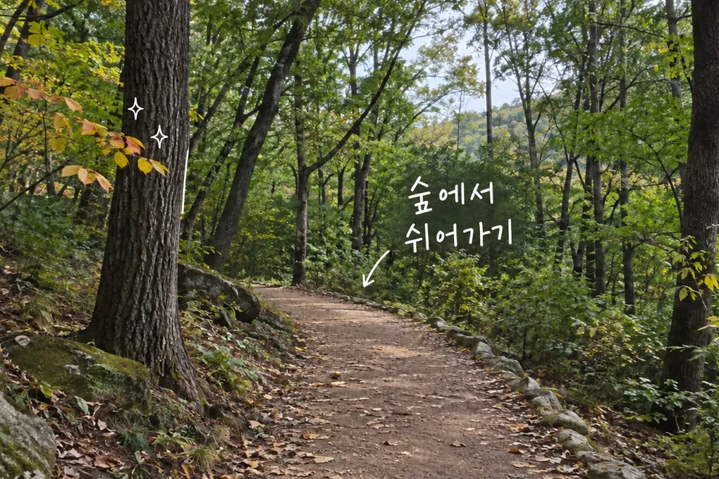 초가을 낙엽이 든 숲길에 얇은 흰 선과 천천히 걷기라는 손글씨를 더한 AI 생성 이미지.