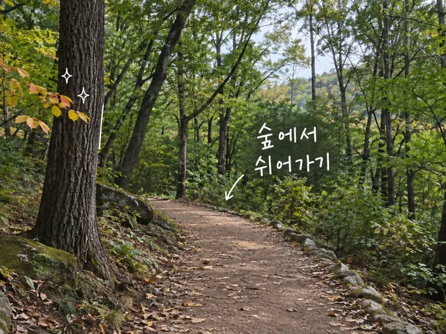 초가을 낙엽이 든 숲길에 얇은 흰 선과 천천히 걷기라는 손글씨를 더한 AI 생성 이미지.