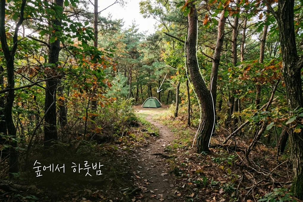 가을 소나무·참나무 숲의 좁은 흙길 끝에 작은 초록색 텐트가 보이는 AI 생성 이미지. 흰 선과 ‘숲에서 하룻밤’ 손글씨가 얹혀 있다. 실제 동서트레일 사진이 아니다.