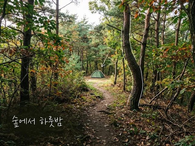 가을 소나무·참나무 숲의 좁은 흙길 끝에 작은 초록색 텐트가 보이는 AI 생성 이미지. 흰 선과 ‘숲에서 하룻밤’ 손글씨가 얹혀 있다. 실제 동서트레일 사진이 아니다.