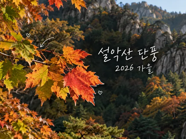 숲과 바위 봉우리를 배경으로 한 단풍잎과 흰 손글씨 설악산 단풍, 가을 2026을 담은 AI 생성 이미지.