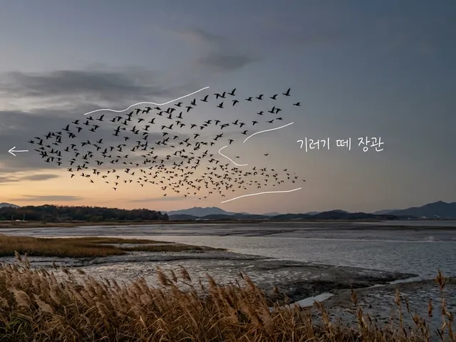 해 질 녘 갯벌 위로 기러기 떼가 날아가는 AI 생성 이미지. 새 떼에 흰 선이 얹혀 있고 '기러기 떼 장관' 손글씨가 있다.